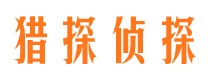 镜湖市侦探调查公司